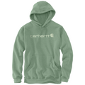 Carhartt Signature Logo Hoodie Green