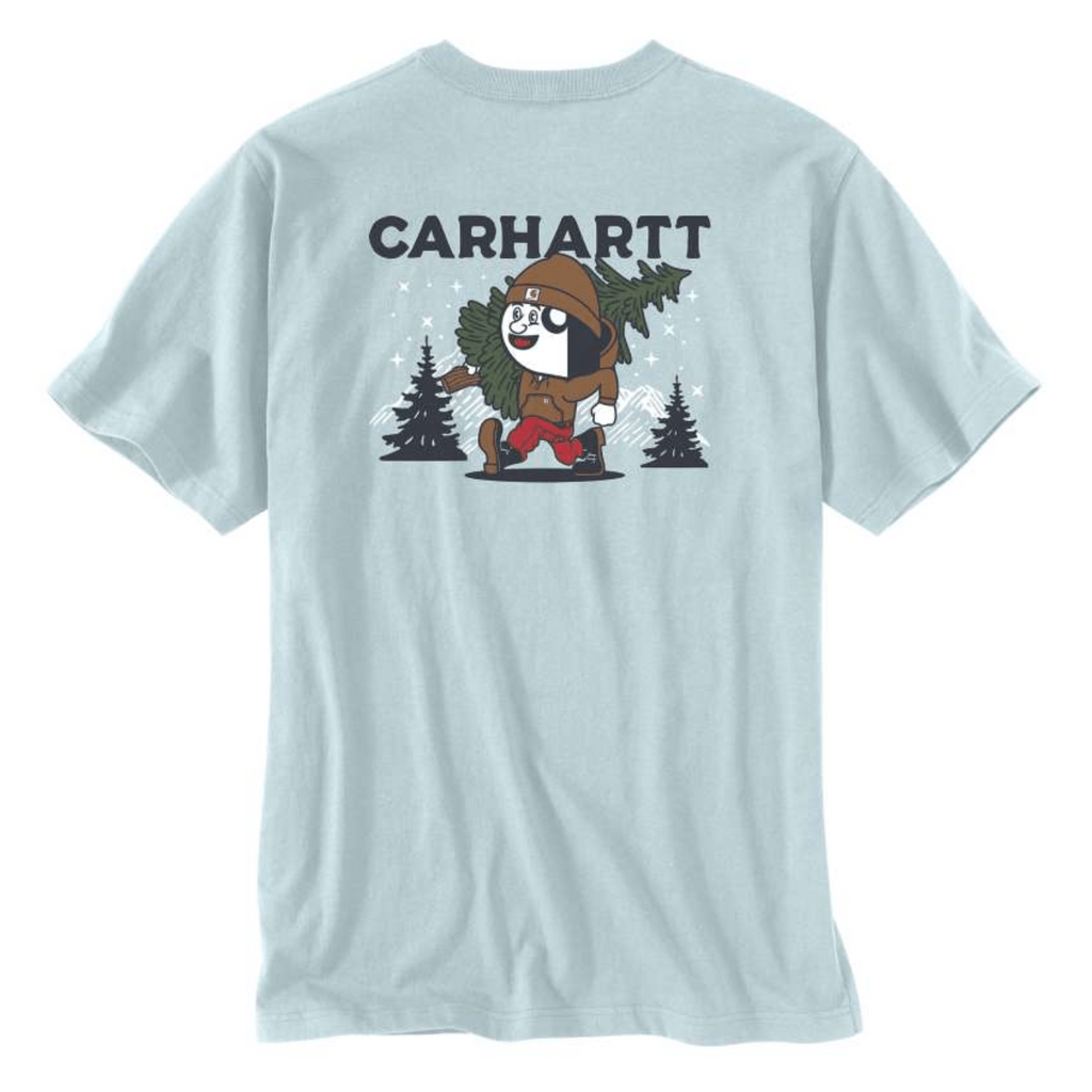 Carhartt Men's Outdoor Graphic Short Sleeve T-Shirt Loose Fit T-Shirt in Turquoise